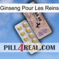 Ginseng For Kidney 41